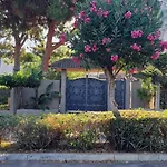 Domus Dea